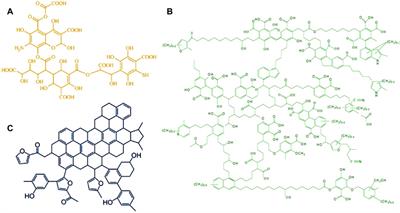 Humic Substances Derived From Biomass Waste During Aerobic Composting and Hydrothermal Treatment: A Review